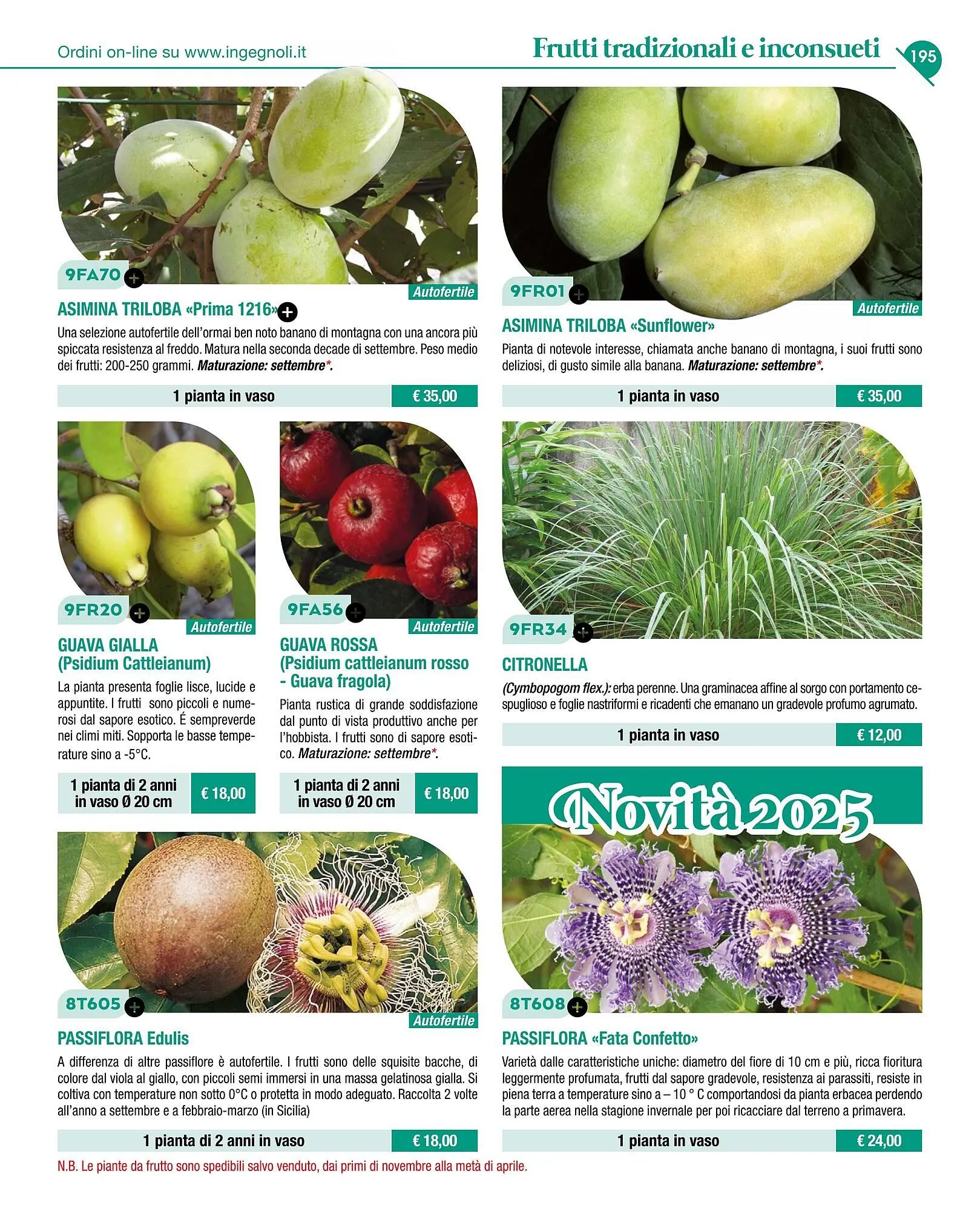 Volantino Ingegnoli da 4 novembre a 31 dicembre di 2025 - Pagina del volantino 197