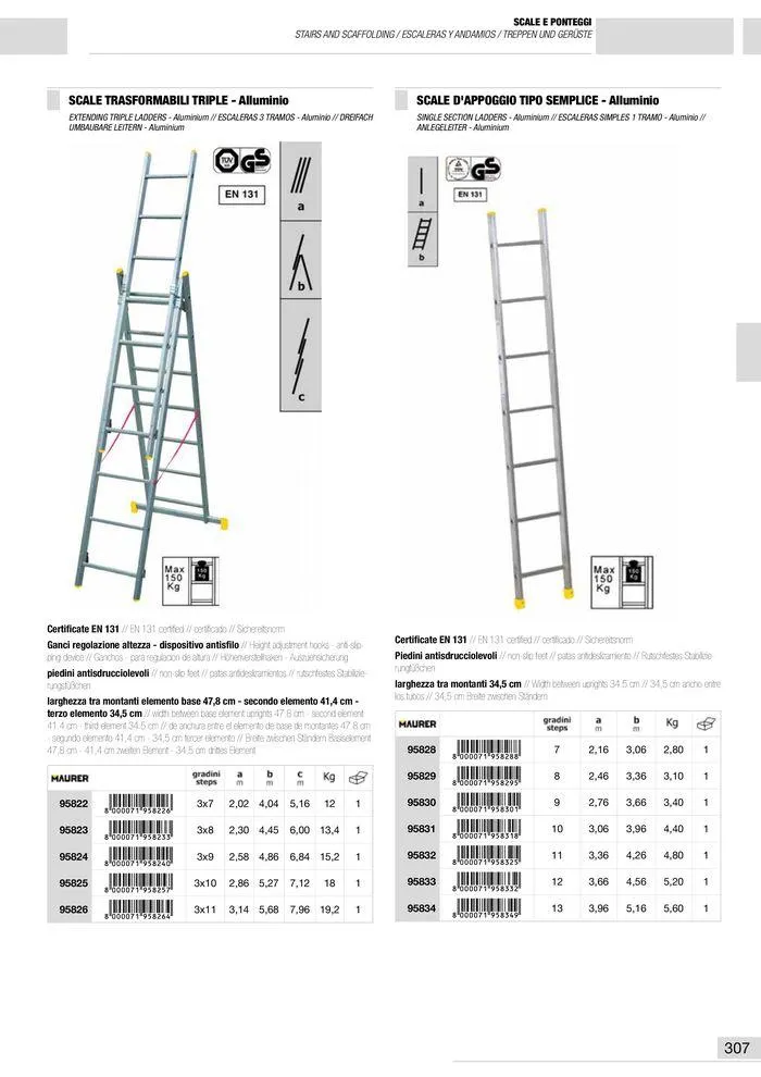 Catalogo Generale da 10 gennaio a 13 maggio di 2025 - Pagina del volantino 308