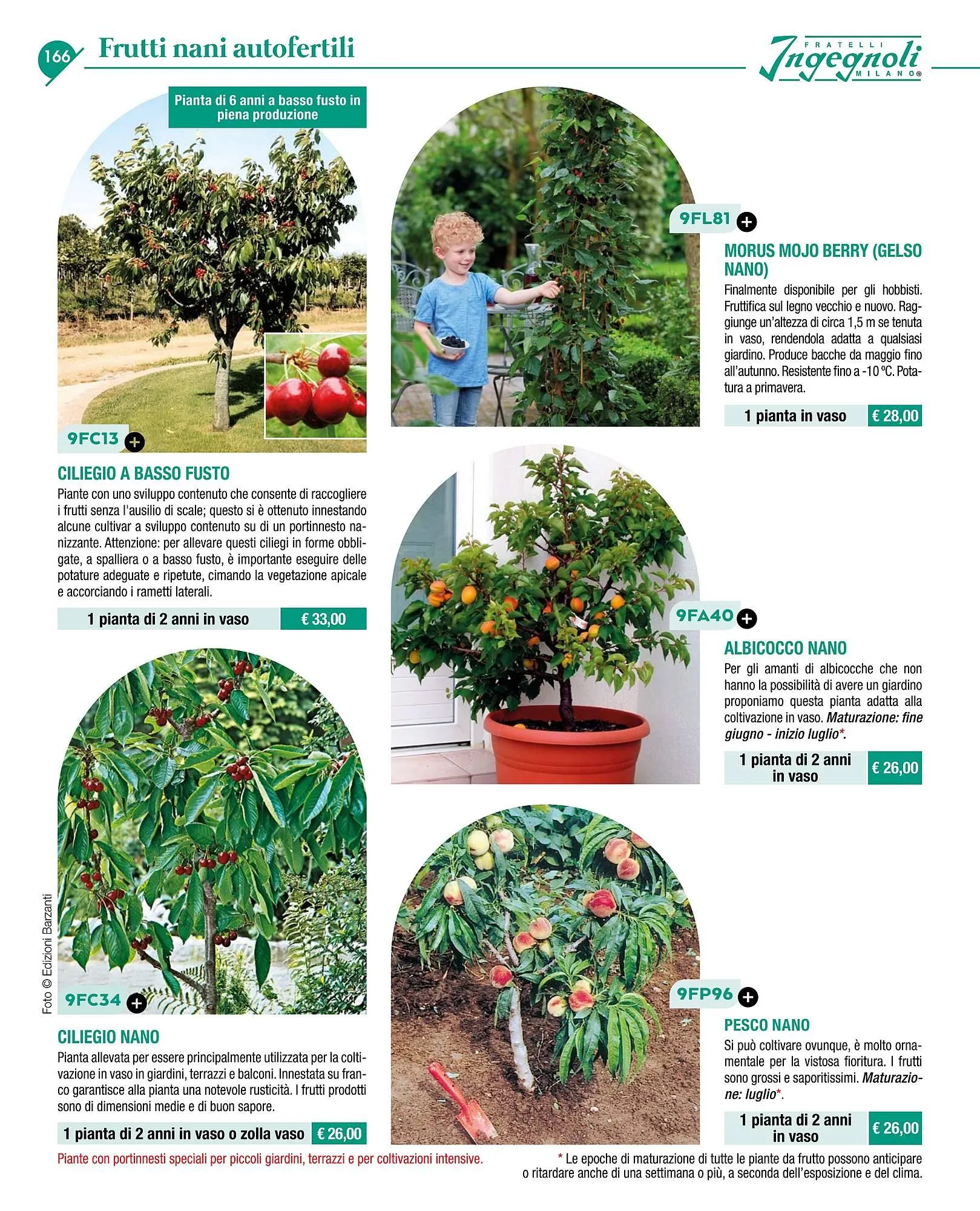 Volantino Ingegnoli da 4 novembre a 31 dicembre di 2025 - Pagina del volantino 168