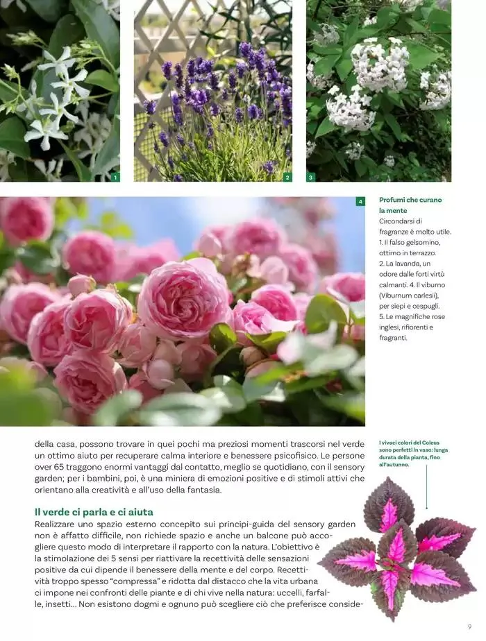 Idee per la vita all' aperto da 18 aprile a 18 maggio di 2025 - Pagina del volantino 9