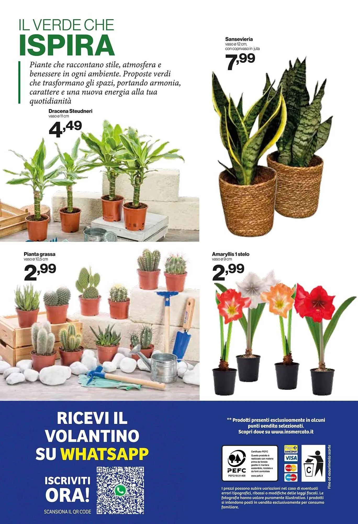 Volantino In'S Mercato da 31 dicembre a 11 gennaio di 2026 - Pagina del volantino 13