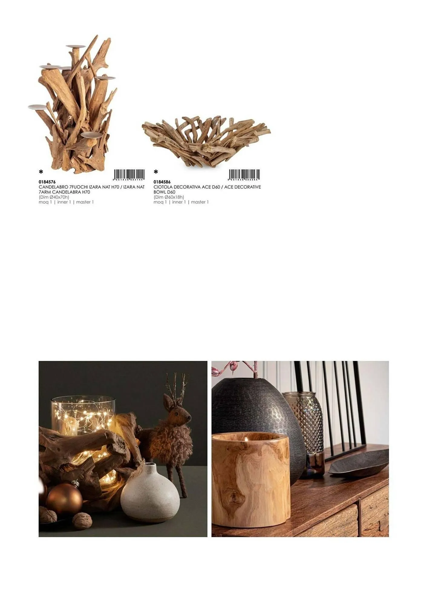 Volantino Bizzotto da 21 gennaio a 31 dicembre di 2025 - Pagina del volantino 119