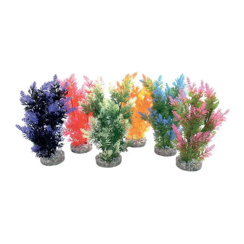 Sydeco Pianta decorativa Fiesta Bush 22 cm 000169933