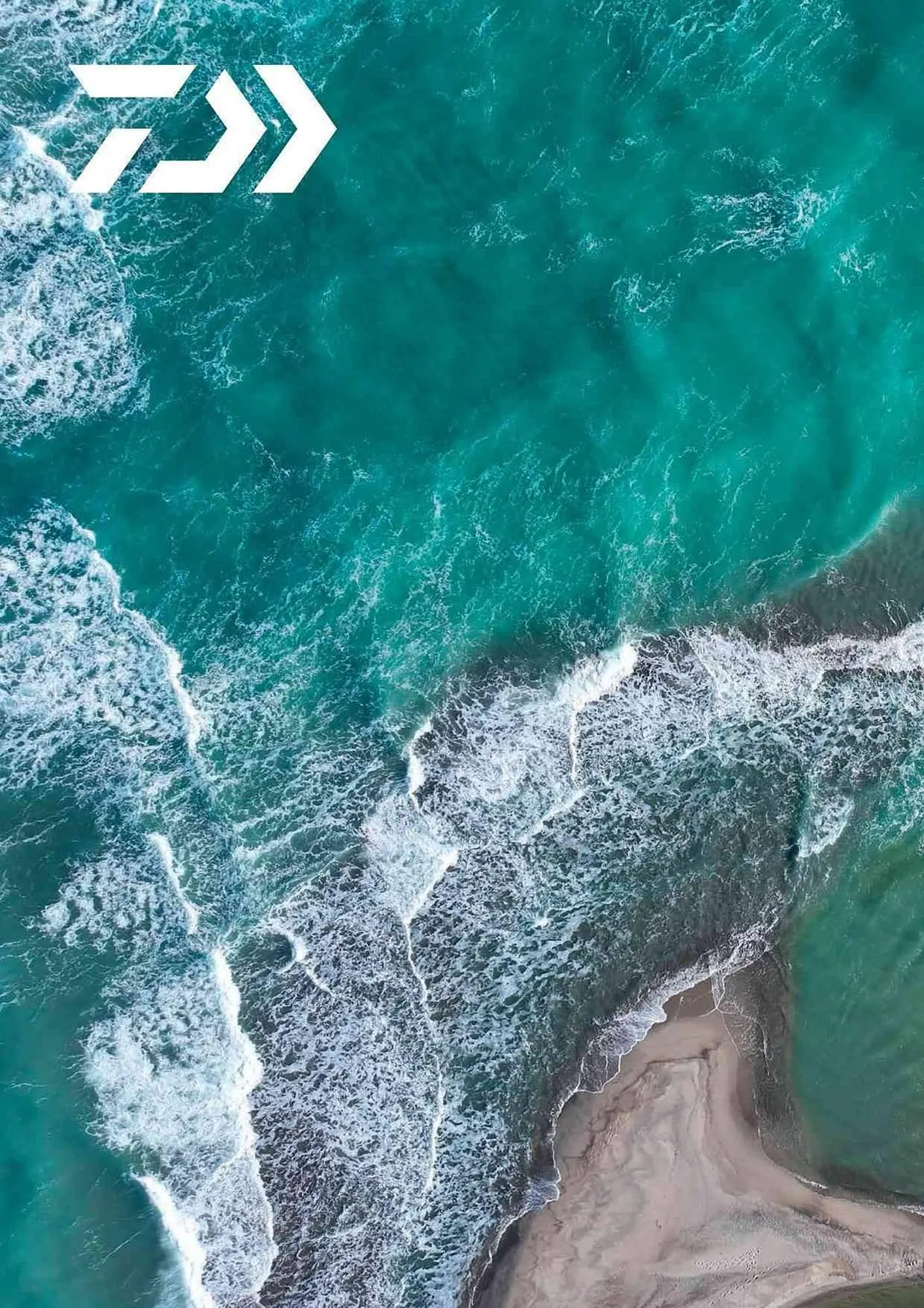 Volantino Daiwa da 4 febbraio a 31 dicembre di 2025 - Pagina del volantino 112