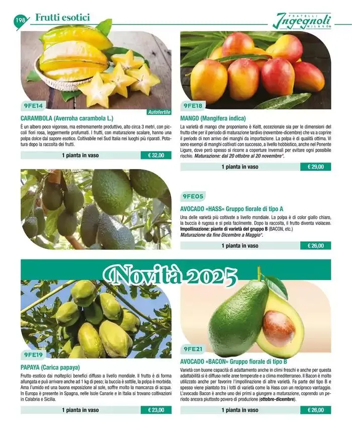 Catalogo guida 2025 da 20 gennaio a 31 dicembre di 2025 - Pagina del volantino 200