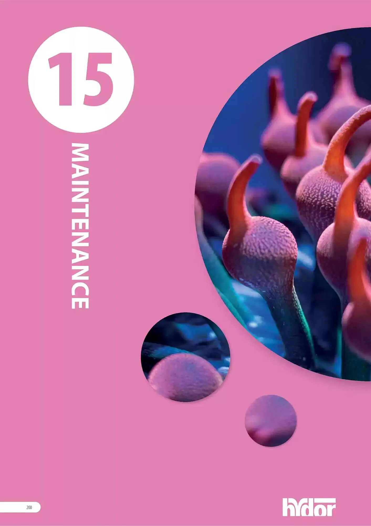 Volantino Ferplast da 13 dicembre a 31 dicembre di 2026 - Pagina del volantino 201