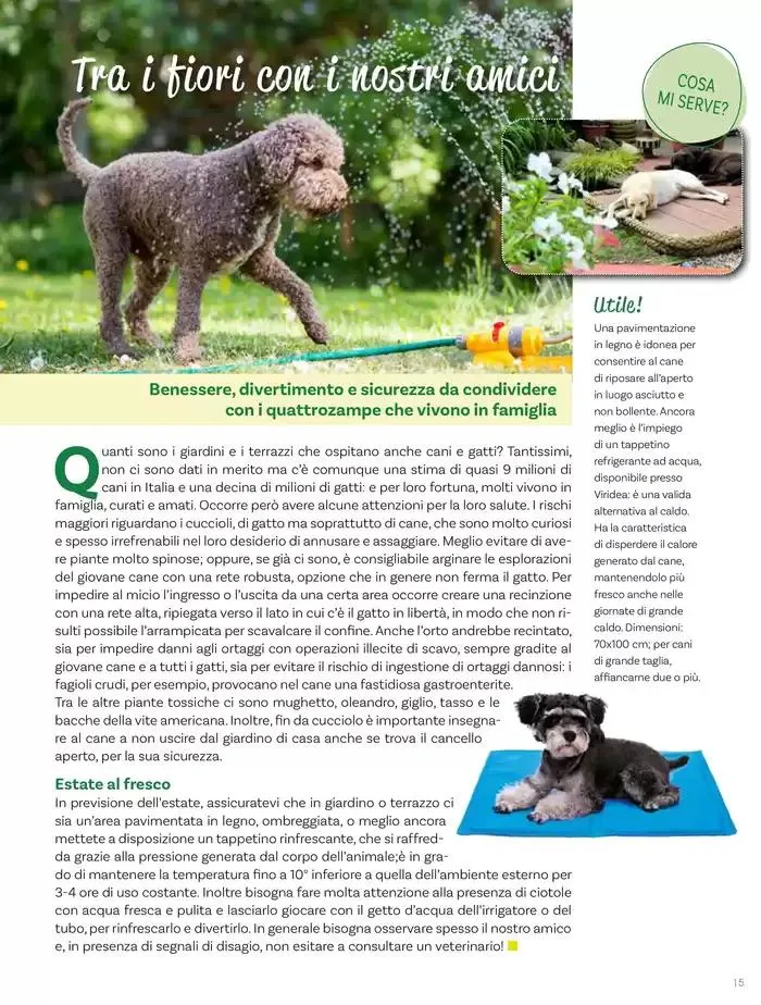 Idee per la vita all' aperto da 18 aprile a 18 maggio di 2025 - Pagina del volantino 15