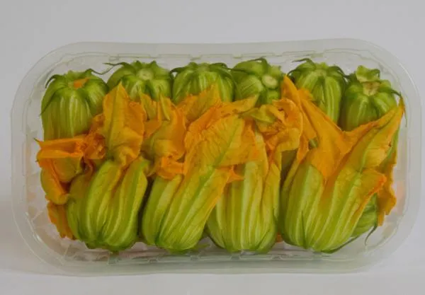 FIORI DI ZUCCA GR.80