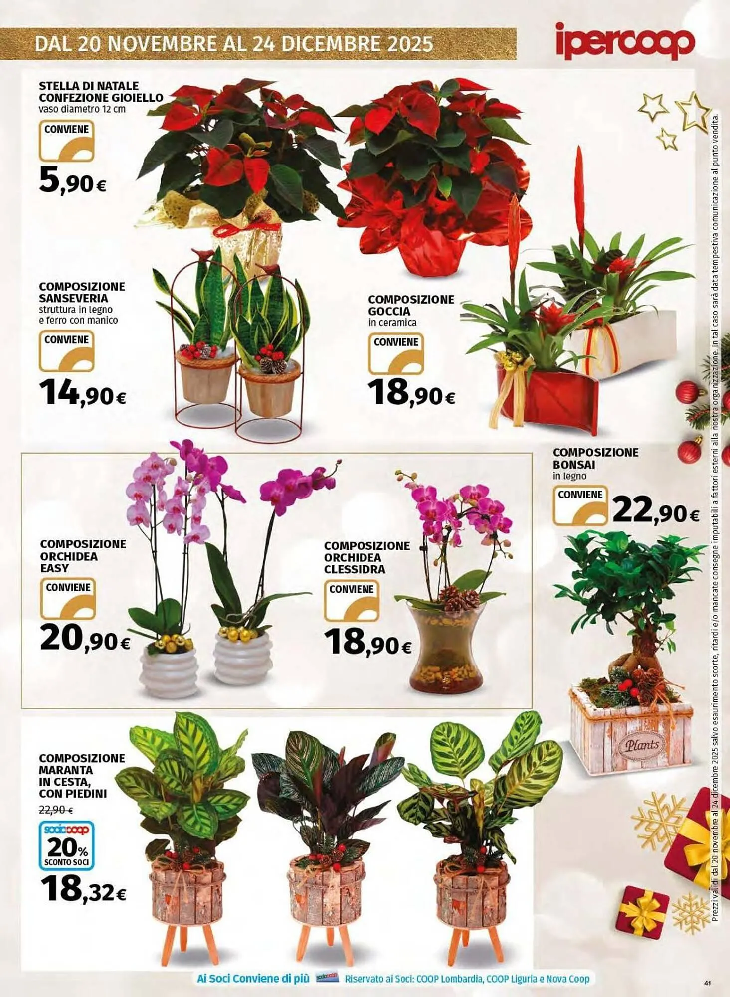 Volantino Ipercoop da 20 novembre a 24 dicembre di 2025 - Pagina del volantino 41
