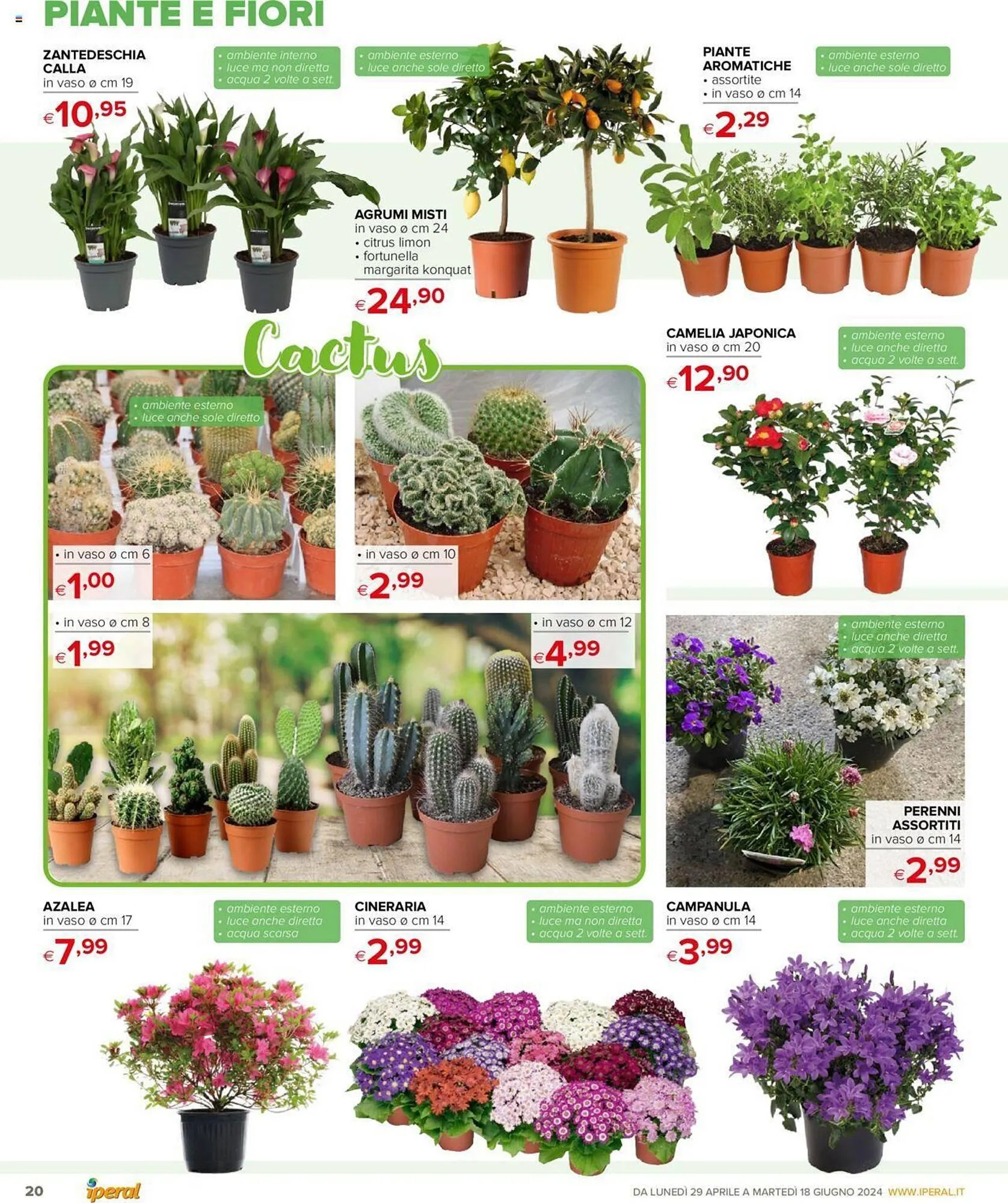 Volantino Iperal da 29 aprile a 18 giugno di 2024 - Pagina del volantino 20