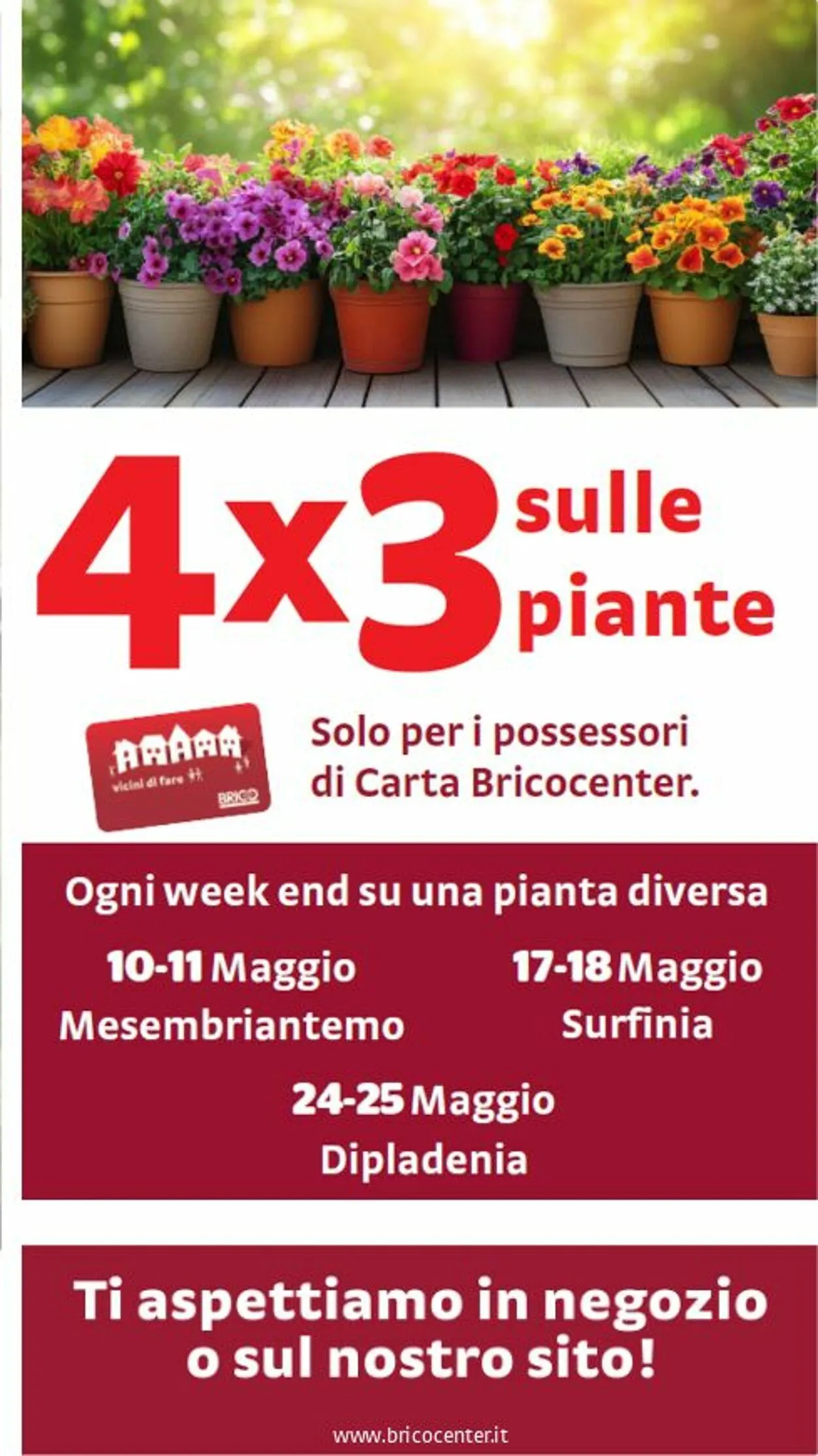 Bricocenter Volantino attuale da 2 giugno a 16 giugno di 2025 - Pagina del volantino 34