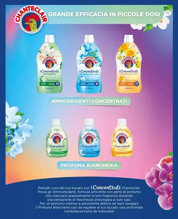 Catalogo A&O da 1 marzo a 30 aprile di 2025 - Pagina del volantino 33