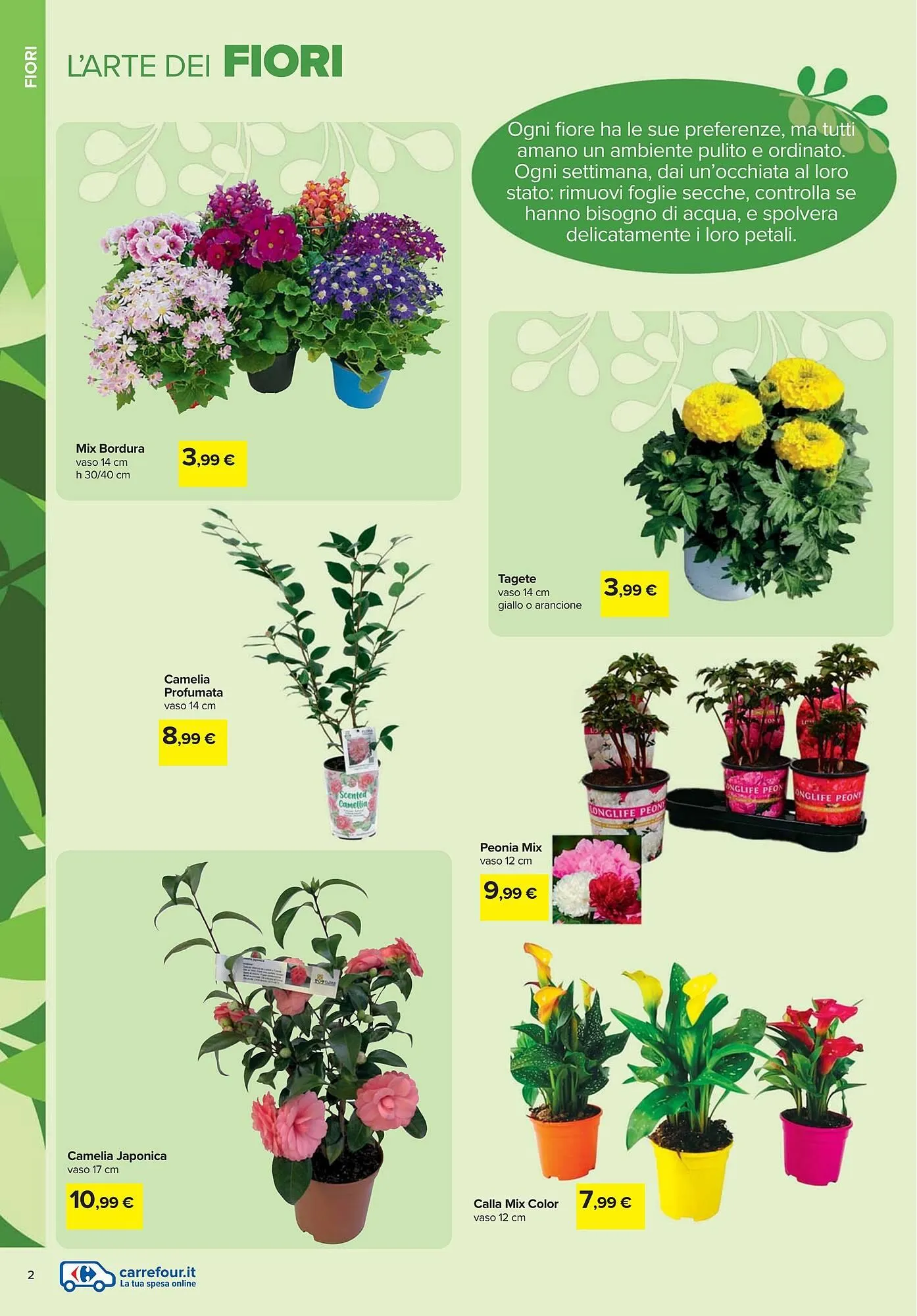 Volantino Carrefour da 19 febbraio a 6 aprile di 2026 - Pagina del volantino 2