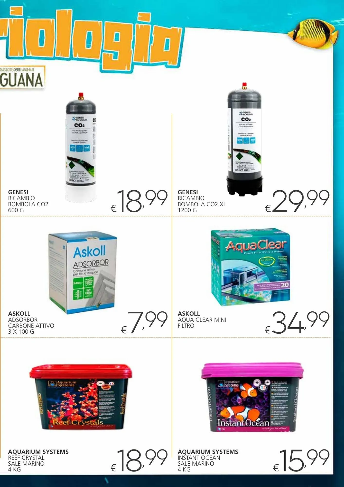 Volantino Zoomiguana da 7 dicembre a 7 gennaio di 2024 - Pagina del volantino 5