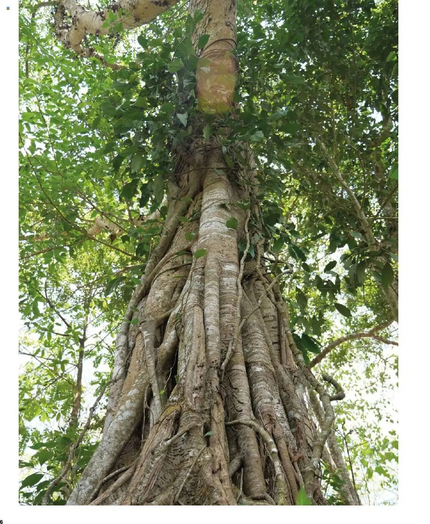 Volantino Maisons du Monde da 17 marzo a 30 settembre di 2025 - Pagina del volantino 8