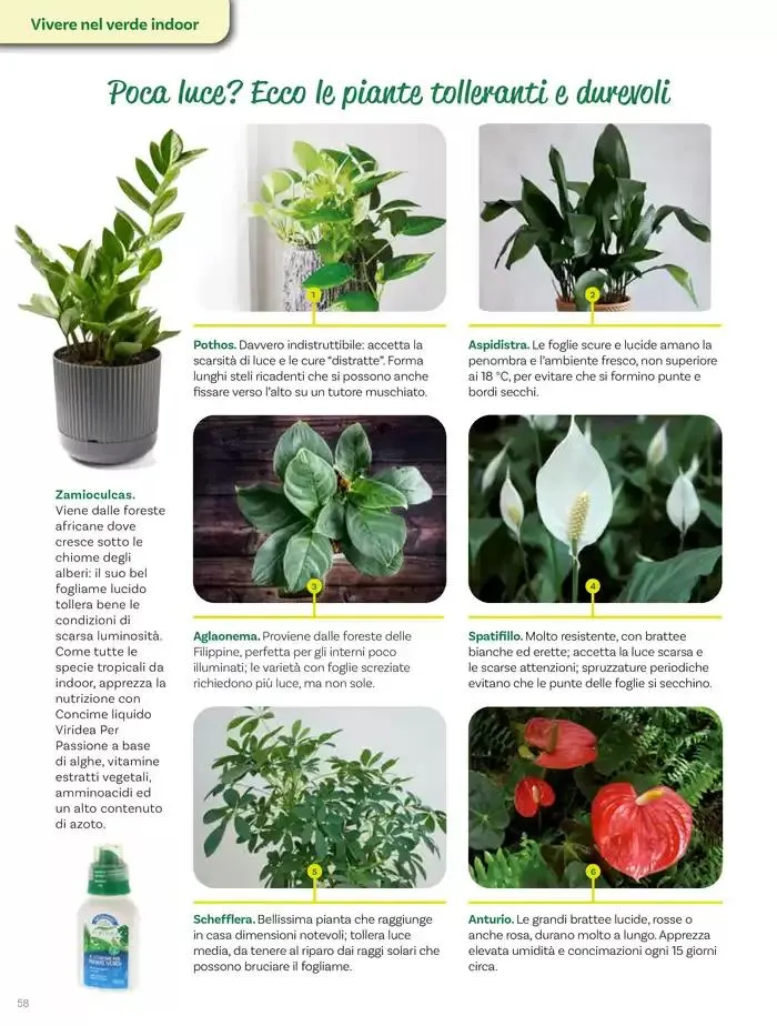 Idee per la vita all' aperto da 18 aprile a 18 maggio di 2025 - Pagina del volantino 58