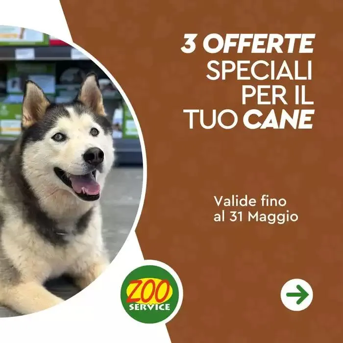 3 offerte speciali per il tuo cane - 1