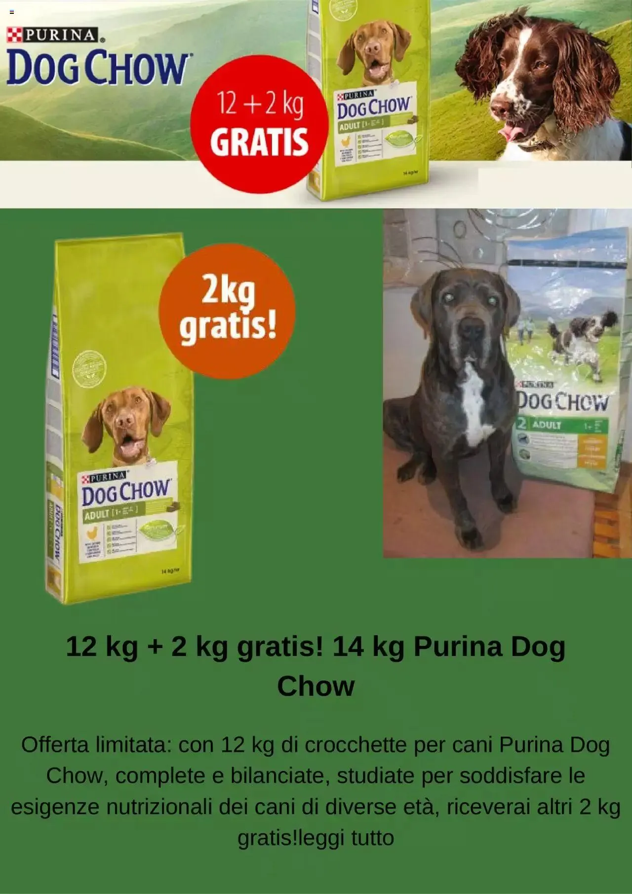 Volantino Zooplus da 2 settembre a 17 settembre di 2023 - Pagina del volantino 5