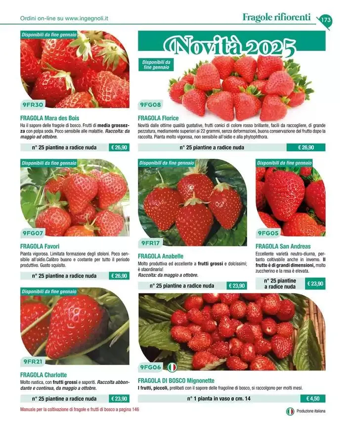 Catalogo guida 2025 da 20 gennaio a 31 dicembre di 2025 - Pagina del volantino 175