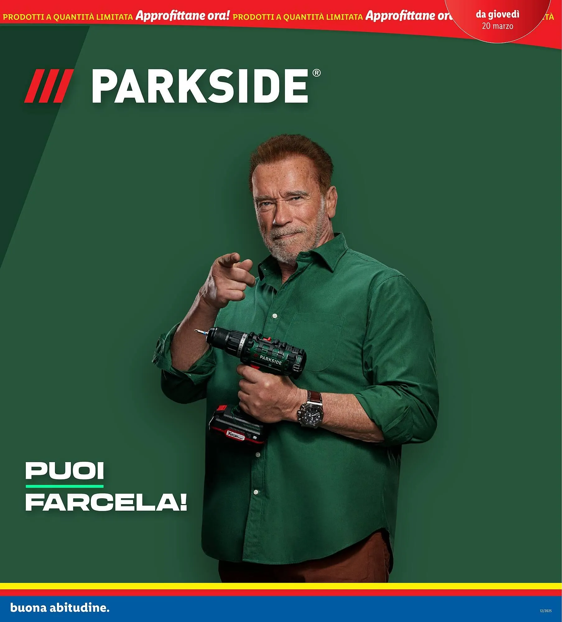 Volantino Lidl da 17 marzo a 23 marzo di 2025 - Pagina del volantino 31