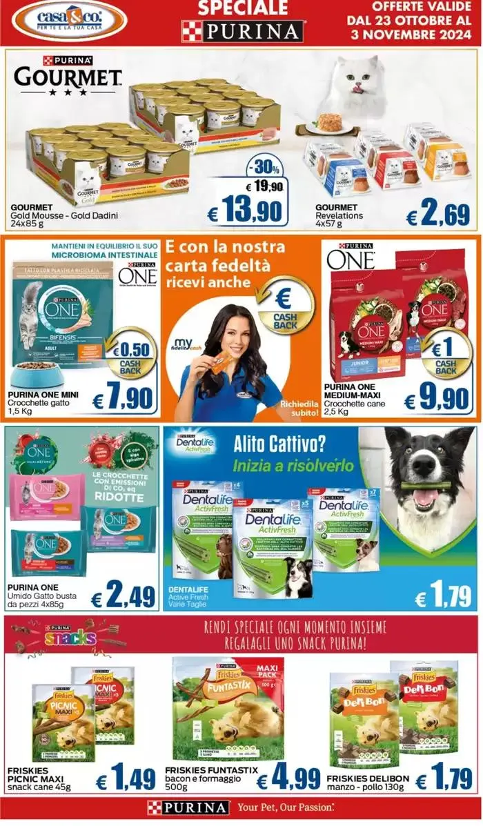 Una pioggia di sconti da 23 ottobre a 3 novembre di 2024 - Pagina del volantino 13