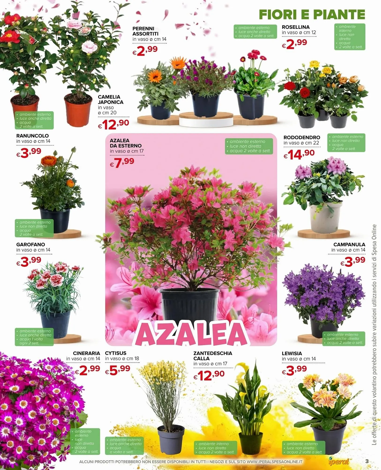 Volantino Iperal da 12 marzo a 6 maggio di 2025 - Pagina del volantino 3