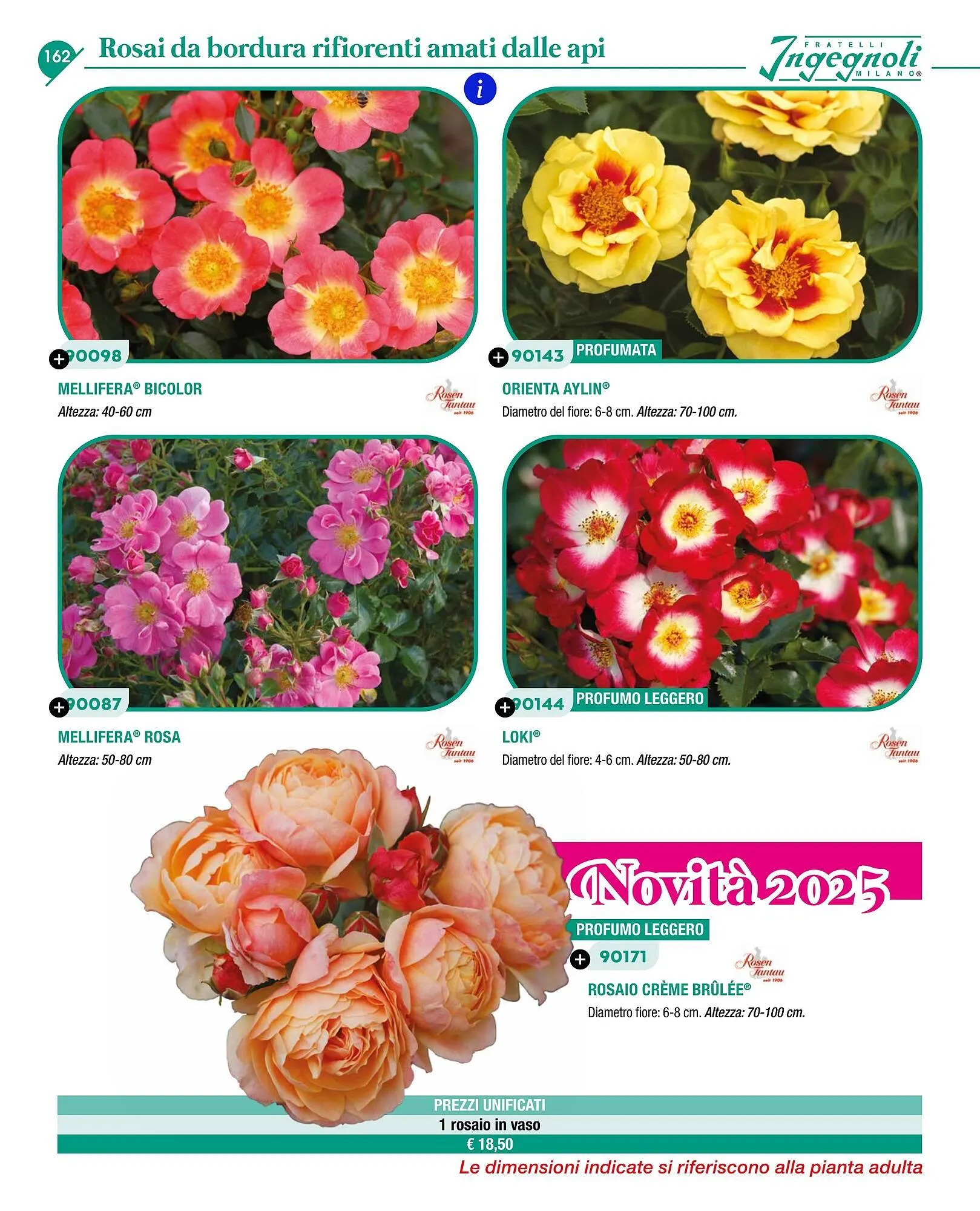 Volantino Ingegnoli da 4 novembre a 31 dicembre di 2025 - Pagina del volantino 164