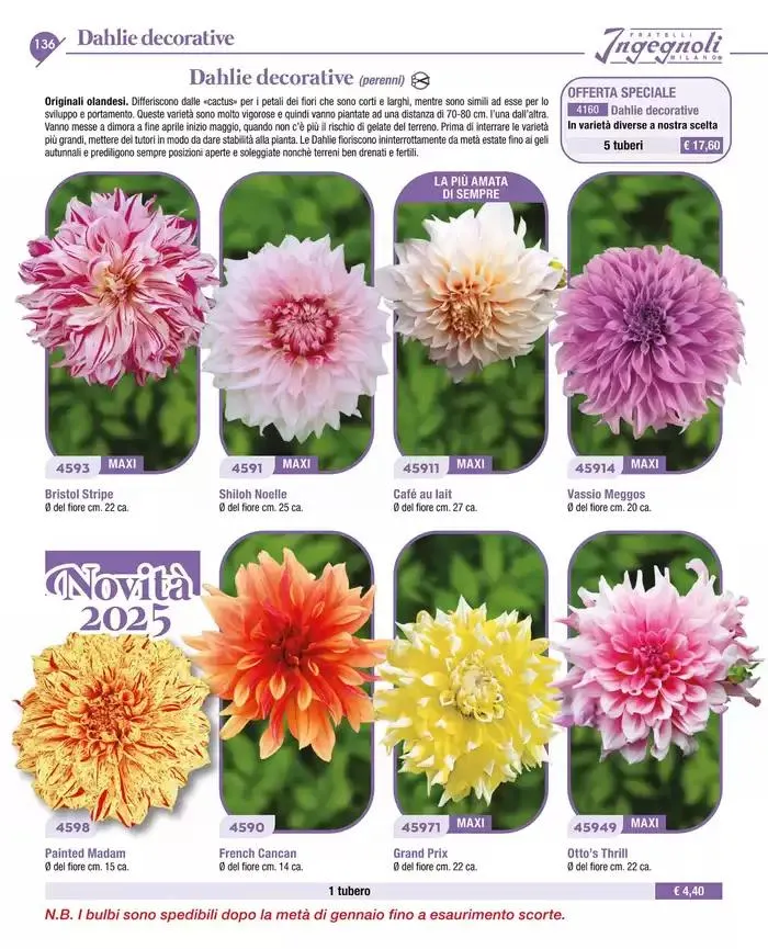 Catalogo guida 2025 da 20 gennaio a 31 dicembre di 2025 - Pagina del volantino 138