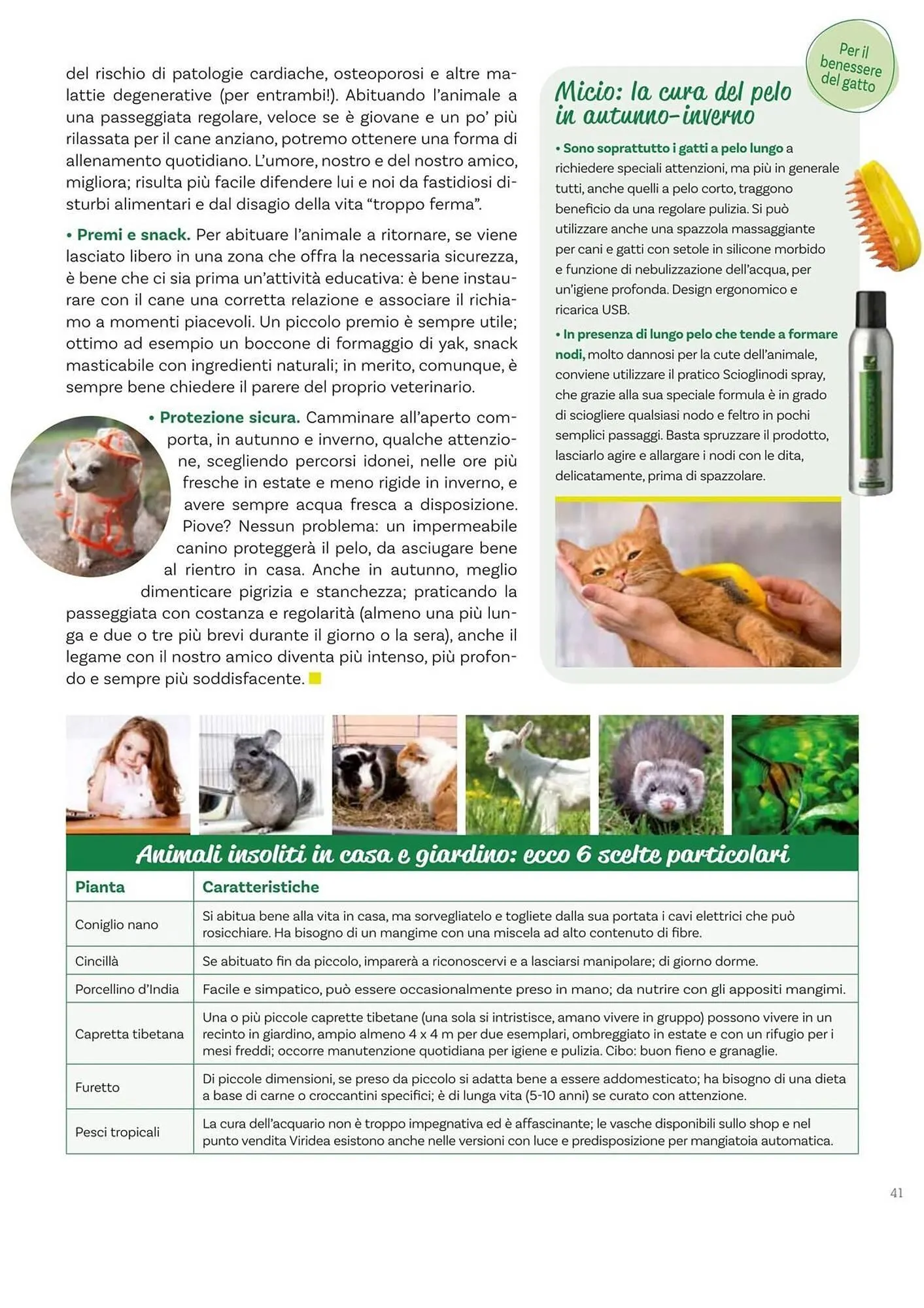 Volantino Viridea da 17 ottobre a 22 dicembre di 2025 - Pagina del volantino 41