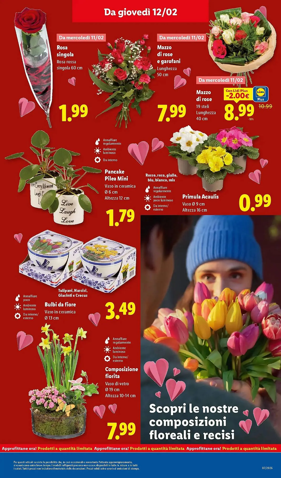 Volantino Lidl da 8 febbraio a 12 febbraio di 2026 - Pagina del volantino 37