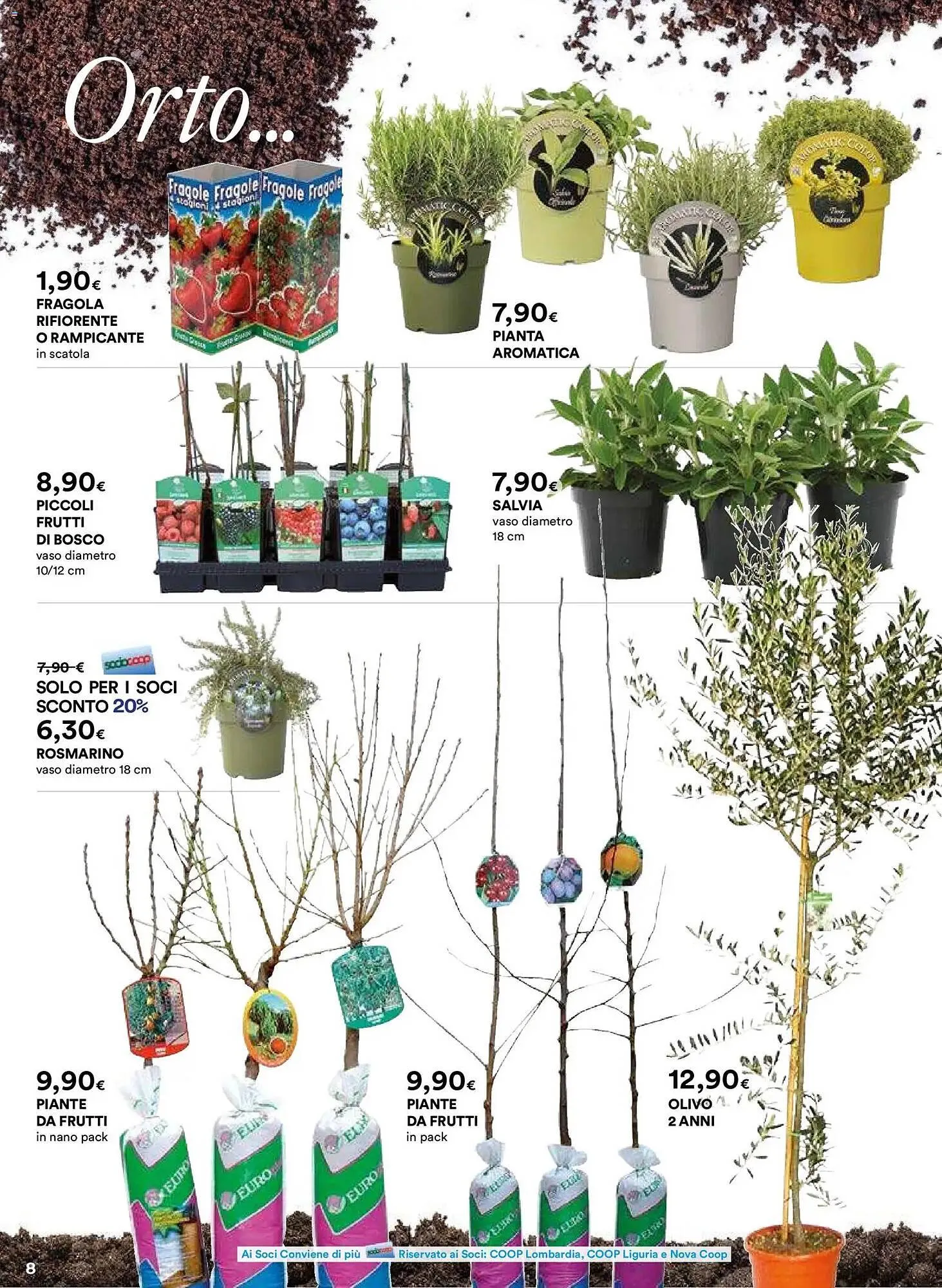 Volantino Ipercoop da 26 febbraio a 6 aprile di 2026 - Pagina del volantino 8