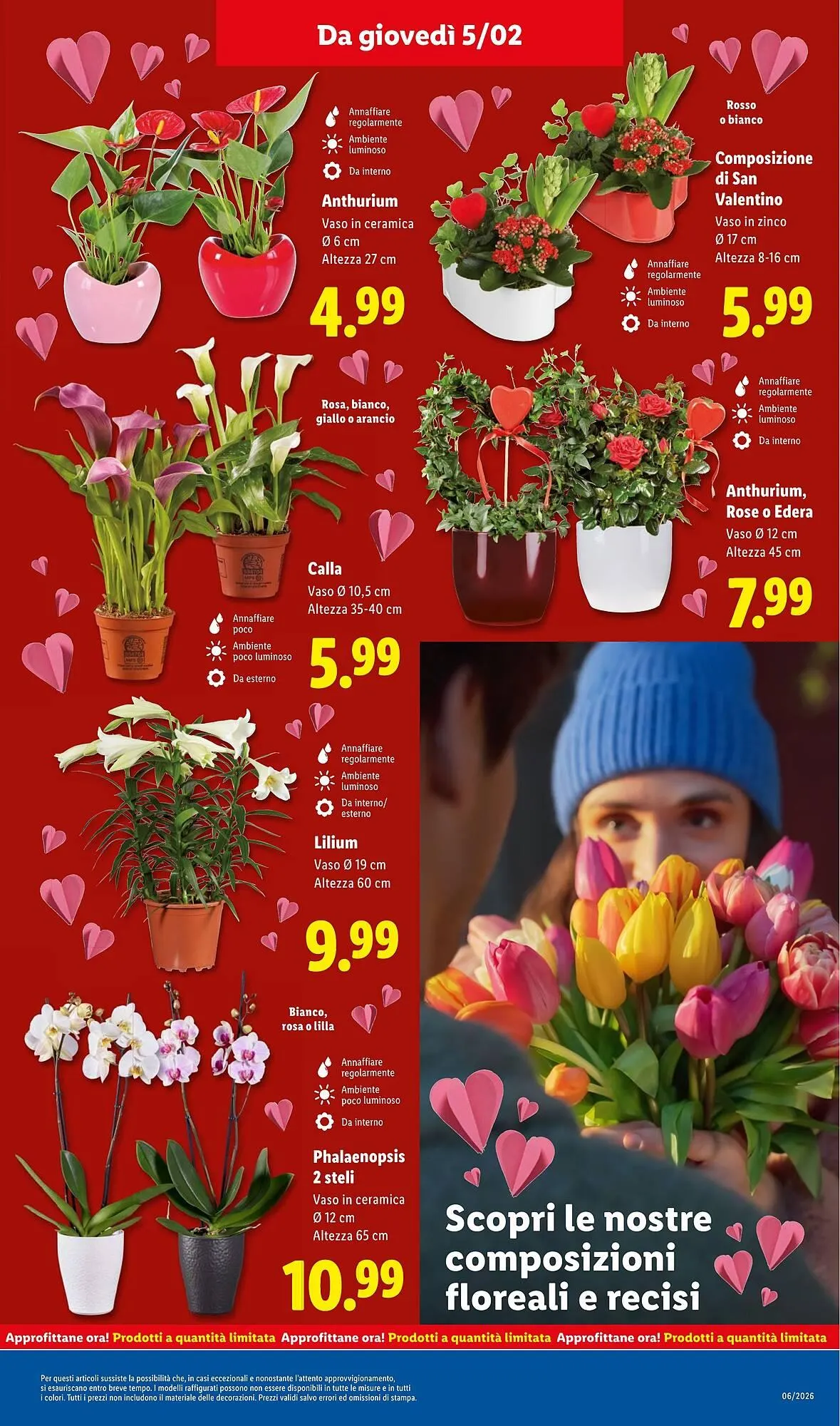 Volantino Lidl da 2 febbraio a 8 febbraio di 2026 - Pagina del volantino 29