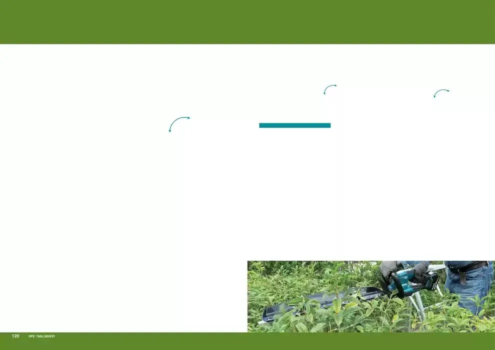 Planet da 1 aprile a 30 settembre di 2025 - Pagina del volantino 62