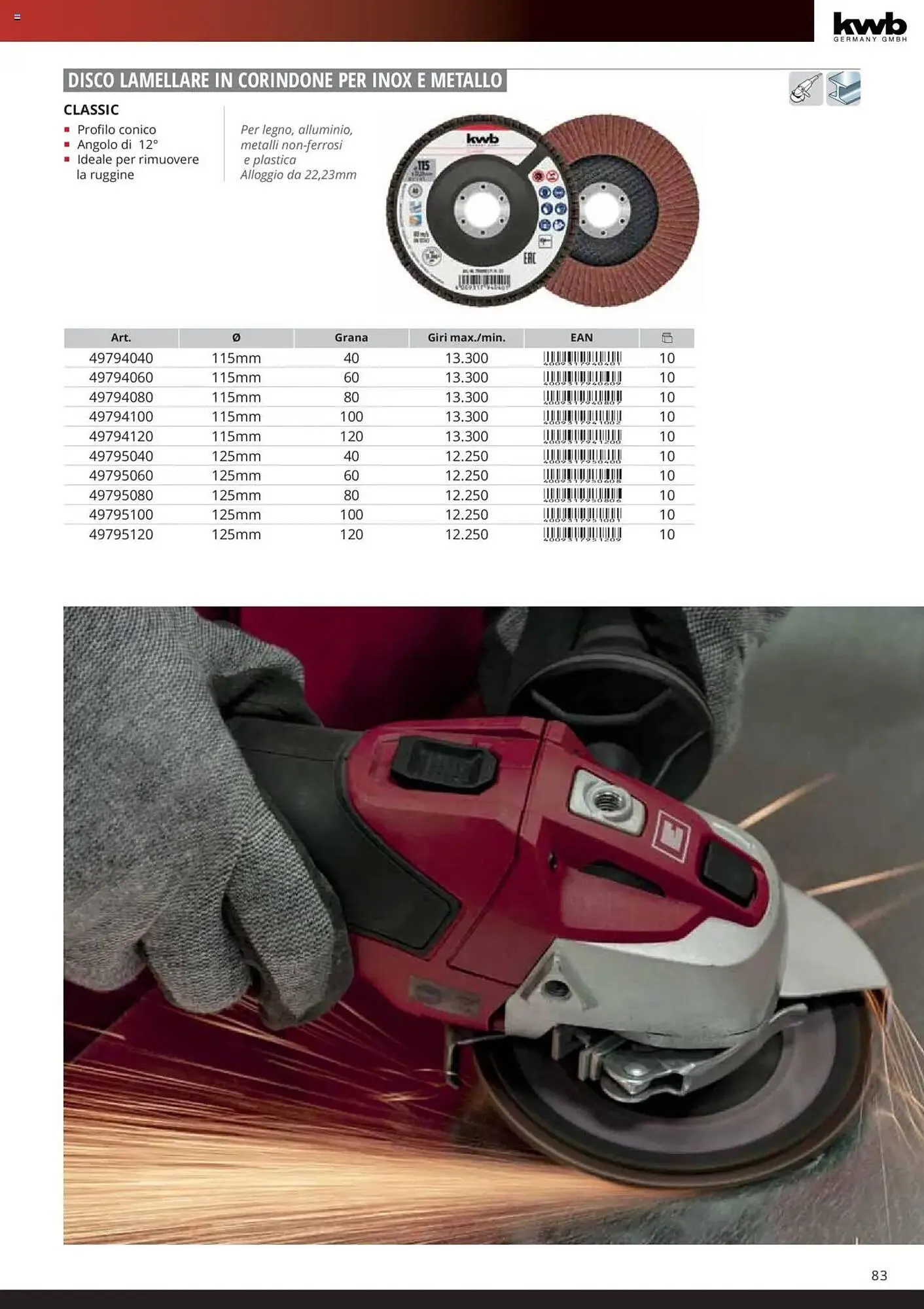 Volantino Einhell da 6 febbraio a 6 febbraio di 2026 - Pagina del volantino 85