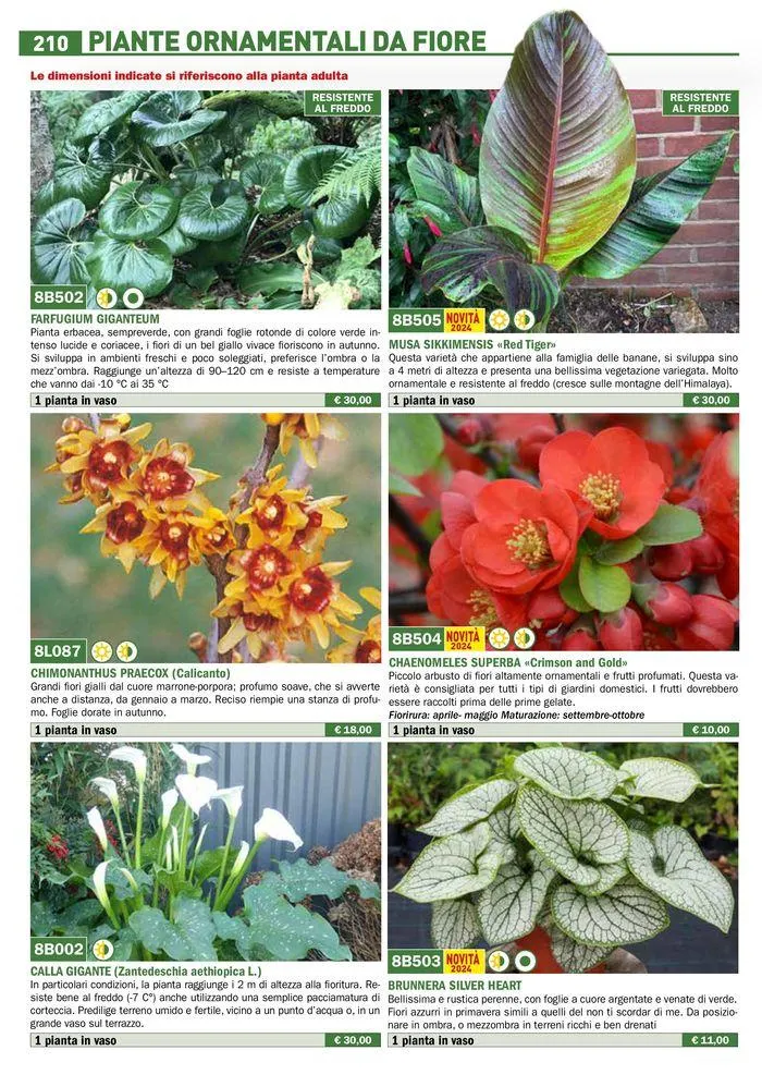 Catalogo guida 2024 da 25 marzo a 31 dicembre di 2024 - Pagina del volantino 212