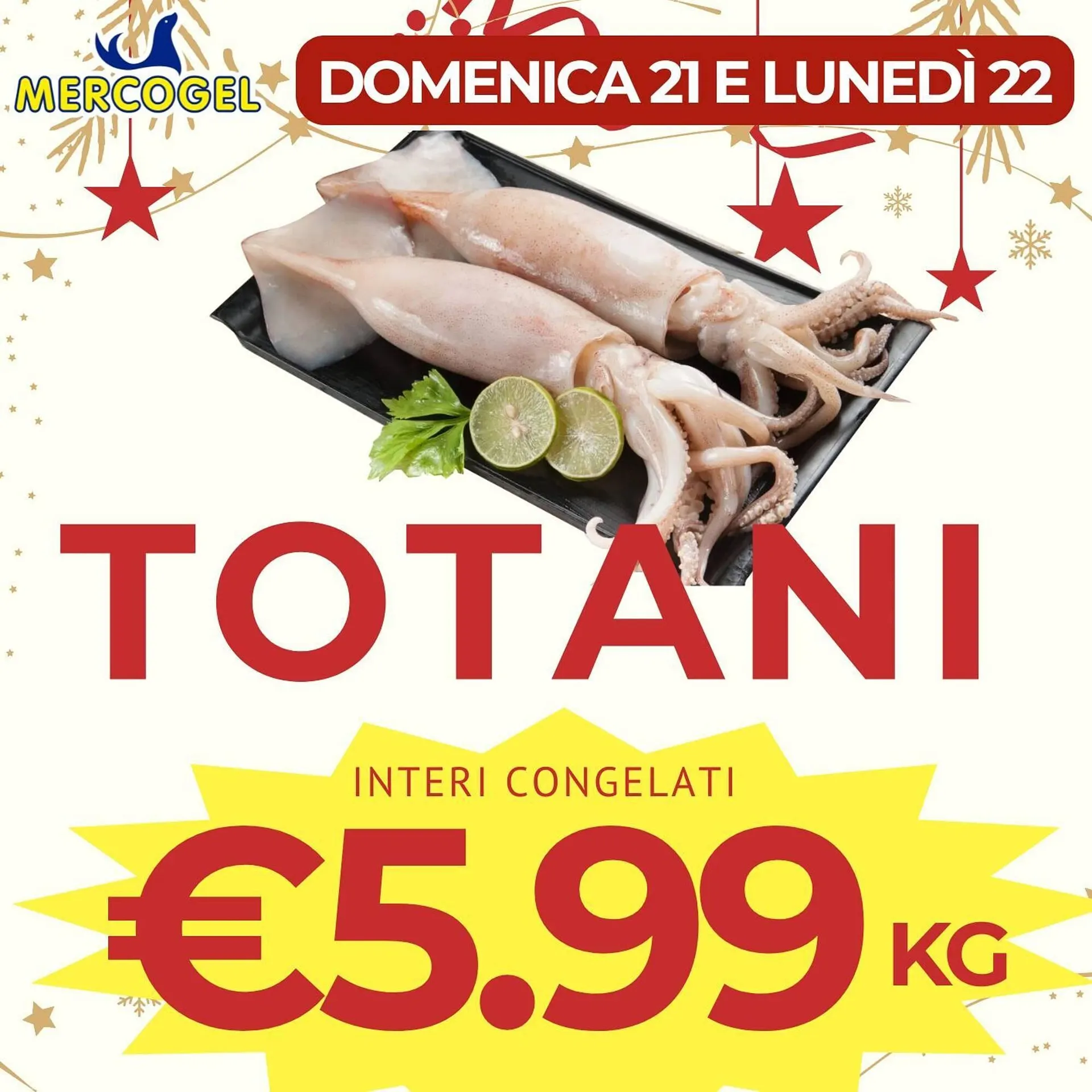 Volantino Mercogel - 1