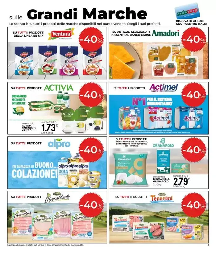 Grandi marche da 13 febbraio a 26 febbraio di 2025 - Pagina del volantino 3