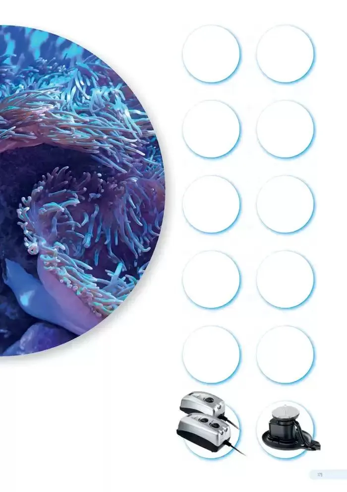 Ferplast da 13 dicembre a 31 dicembre di 2026 - Pagina del volantino 174