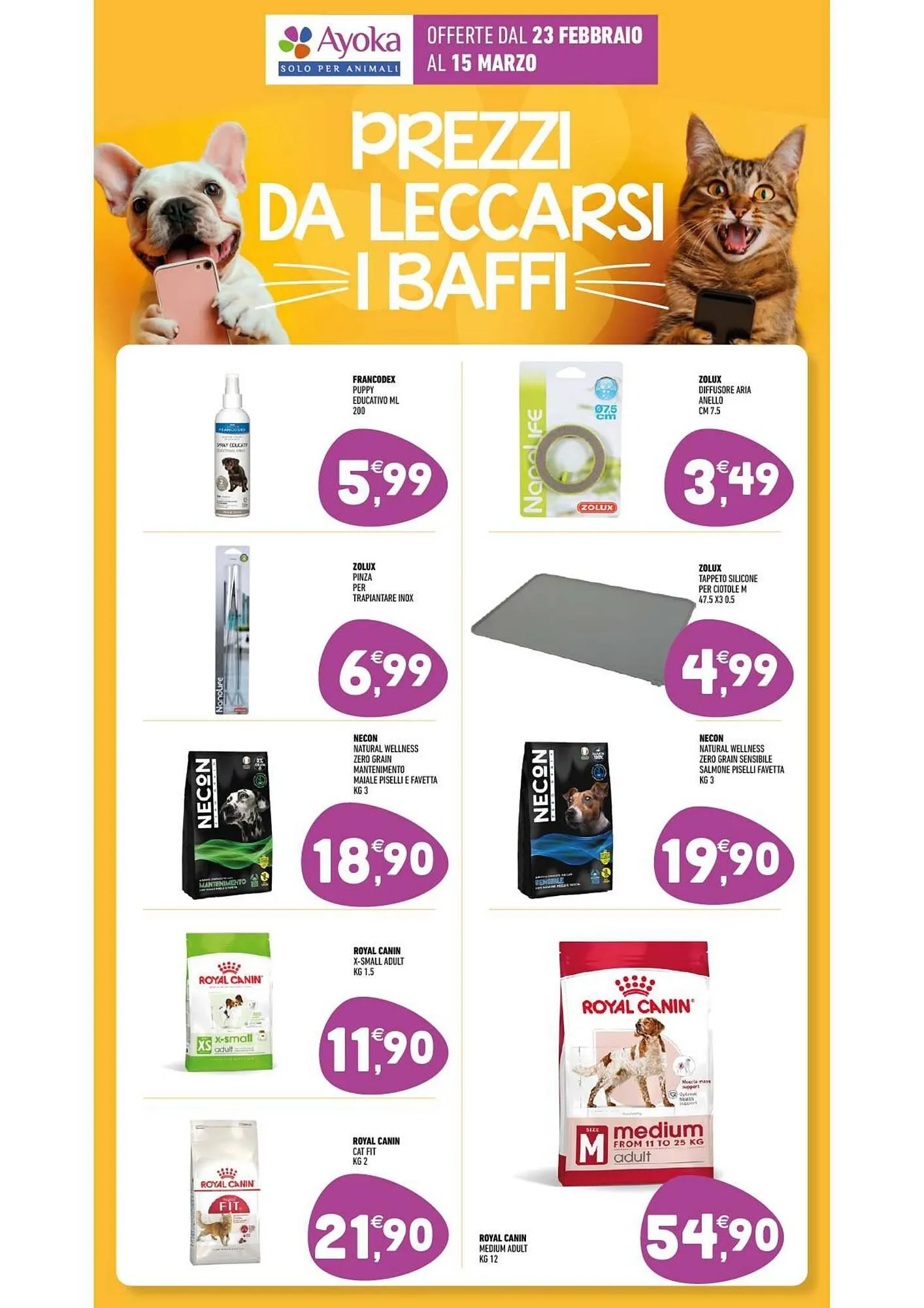 Volantino Ayoka da 23 febbraio a 15 marzo di 2026 - Pagina del volantino 13