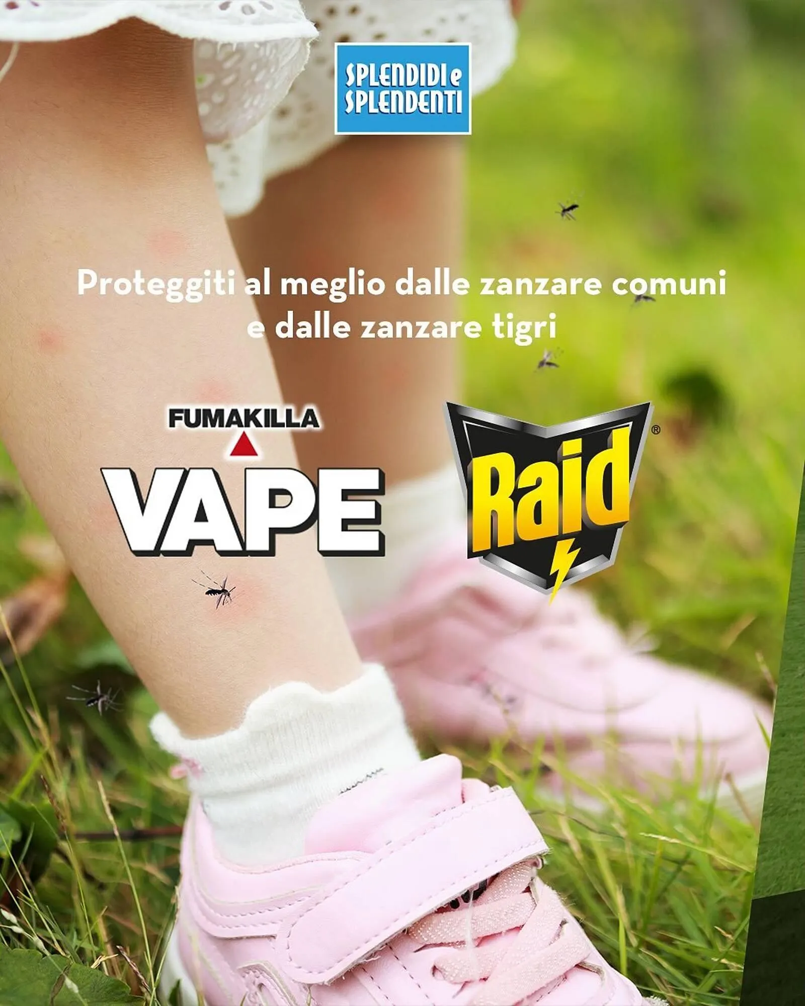 Volantino Splendidi e Splendenti da 22 luglio a 3 agosto di 2025 - Pagina del volantino 1