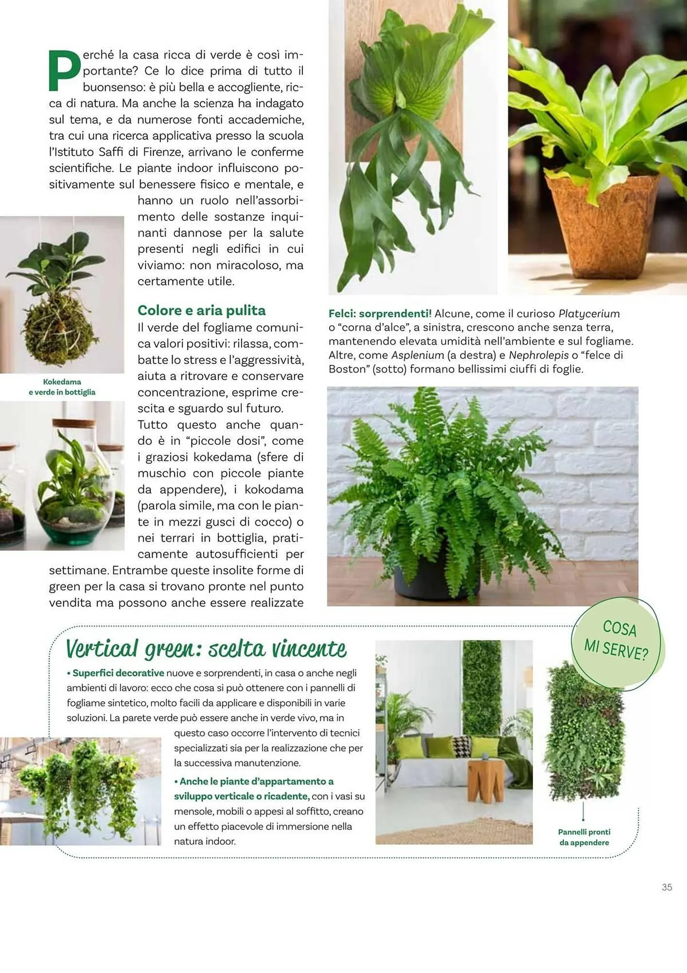 Volantino Viridea da 17 ottobre a 22 dicembre di 2025 - Pagina del volantino 35