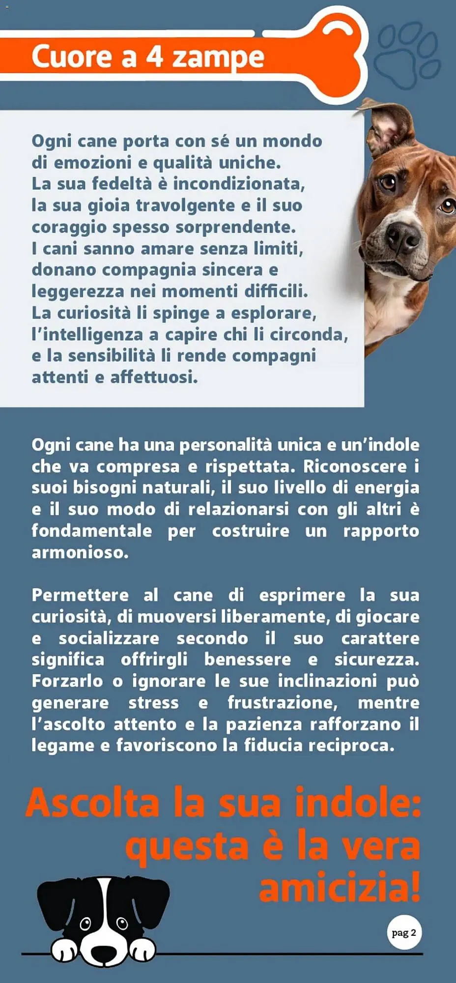 Volantino Supermercati Dok da 24 ottobre a 9 novembre di 2025 - Pagina del volantino 2