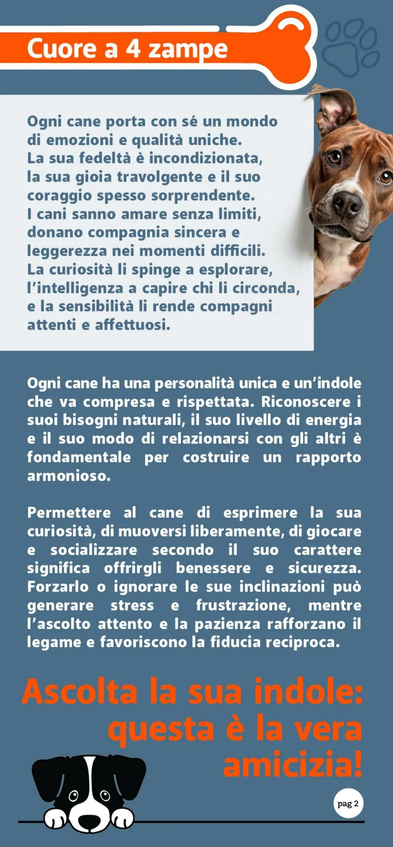 Famila Volantino attuale da 24 ottobre a 9 novembre di 2025 - Pagina del volantino 2