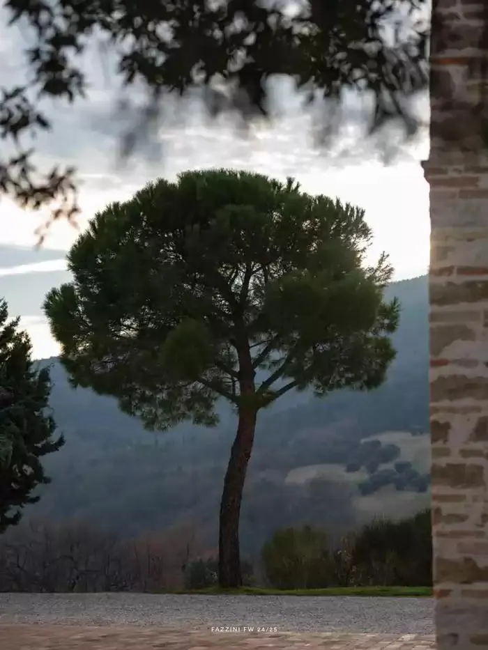 Fazzini collezione da 21 ottobre a 31 dicembre di 2025 - Pagina del volantino 47