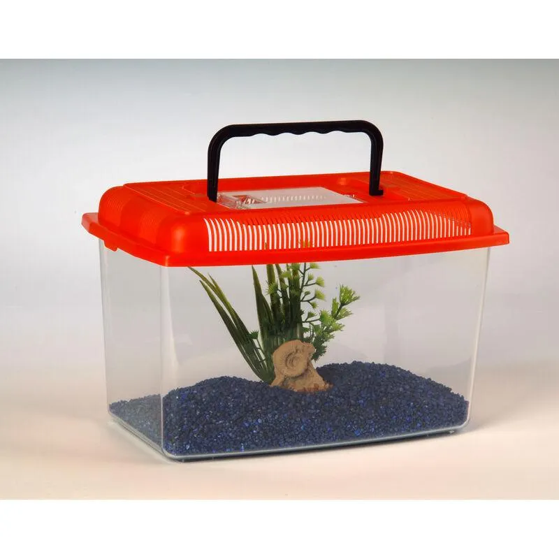 Imac Vaschetta Ariel Medium