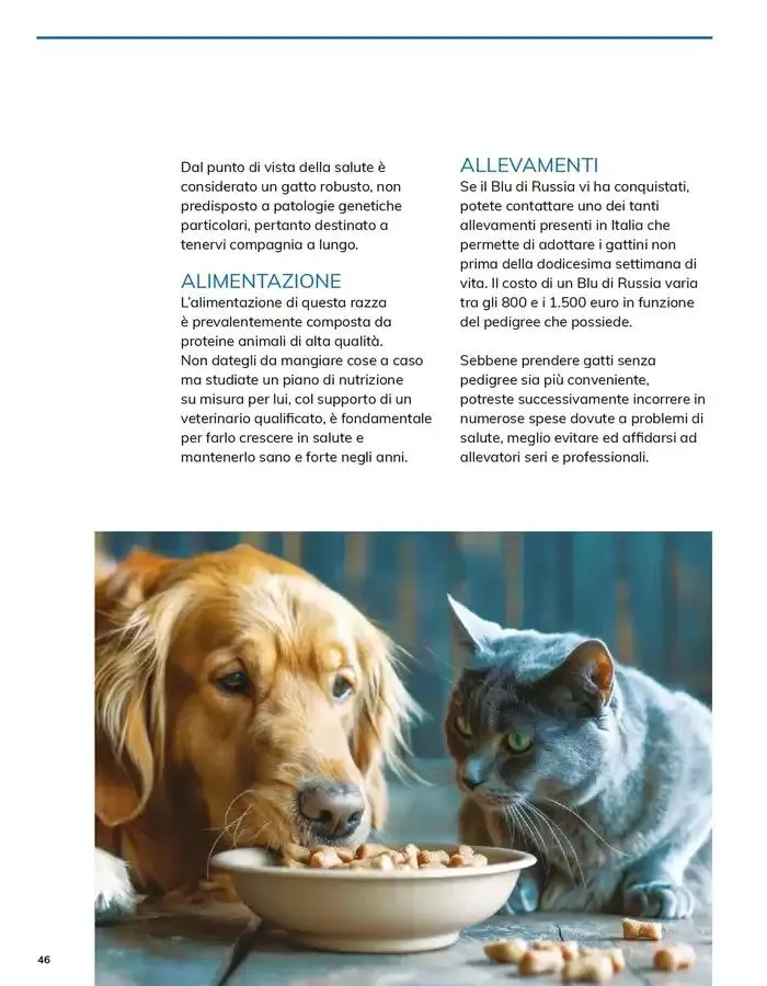 Sapori Italiani da 12 marzo a 31 marzo di 2025 - Pagina del volantino 46