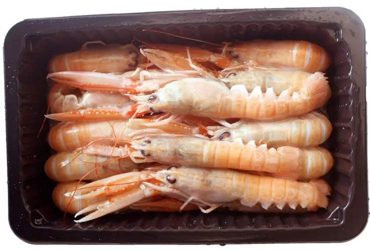SCAMPI 13/16 GR.375