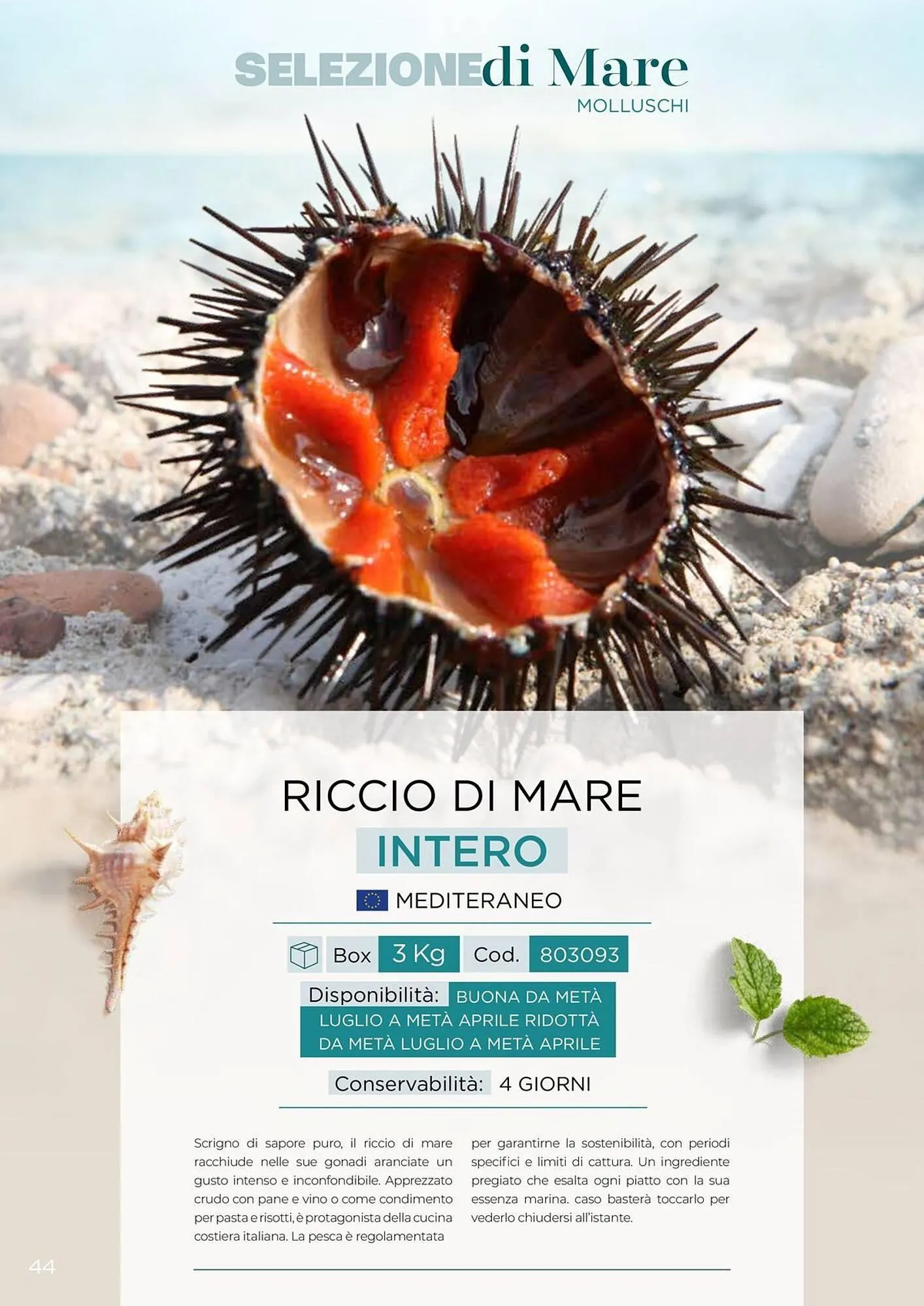 Volantino Centro Cash da 30 aprile a 31 dicembre di 2026 - Pagina del volantino 44