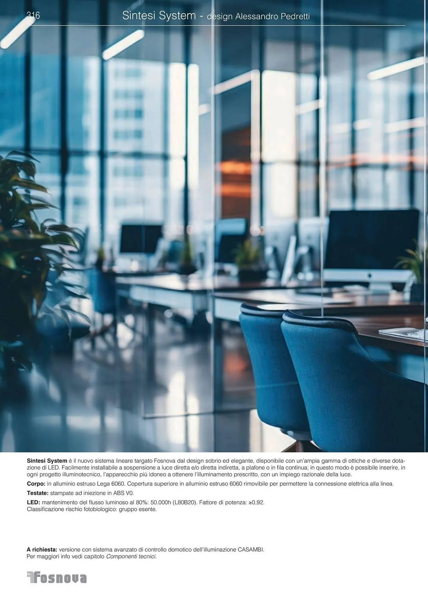 Volantino Disano da 16 gennaio a 31 ottobre di 2025 - Pagina del volantino 317