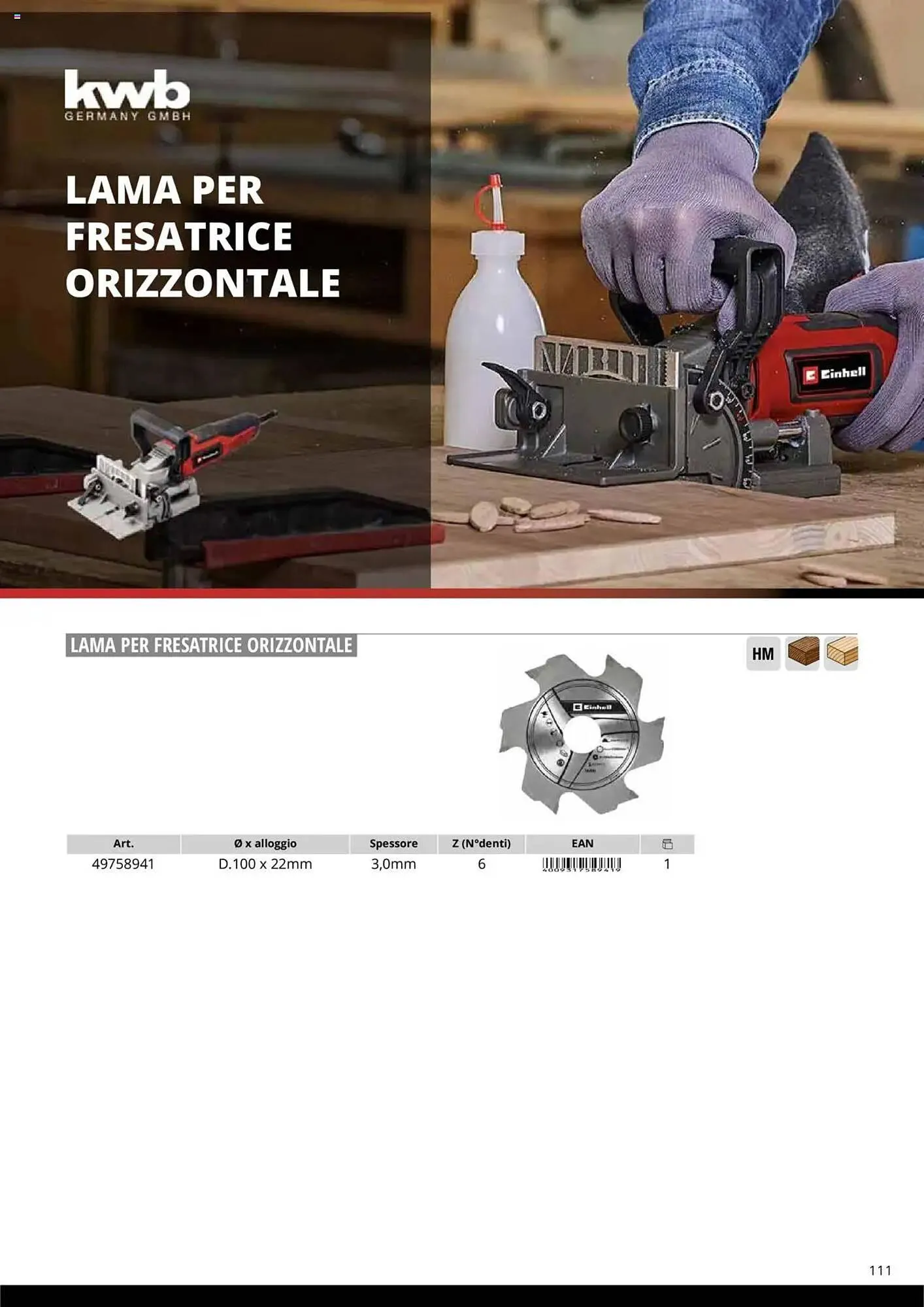 Volantino Einhell da 10 ottobre a 31 dicembre di 2025 - Pagina del volantino 113